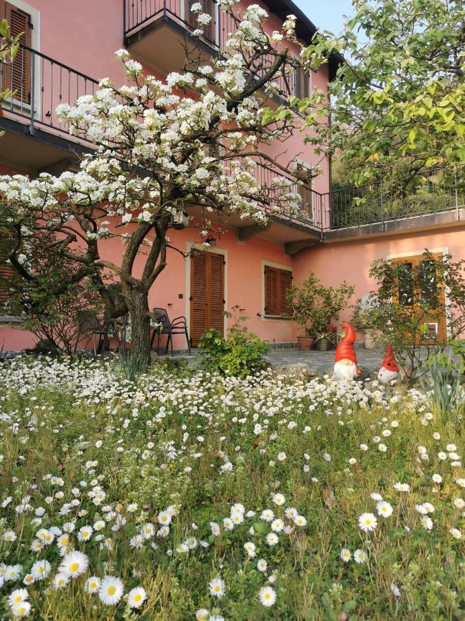 Villa La baia d'acquadolce Bolzano Novarese Esterno foto