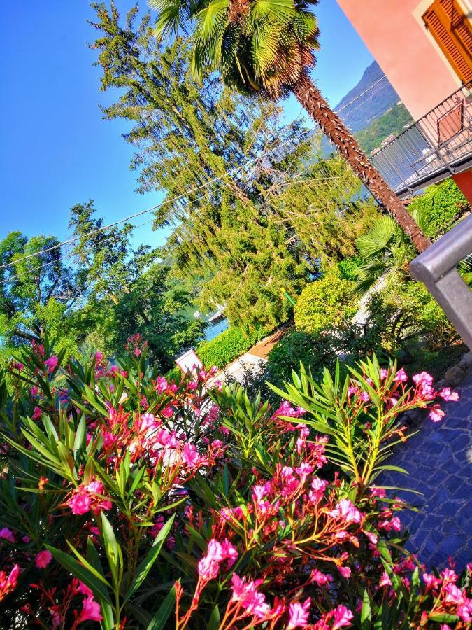 Villa La baia d'acquadolce Bolzano Novarese Esterno foto