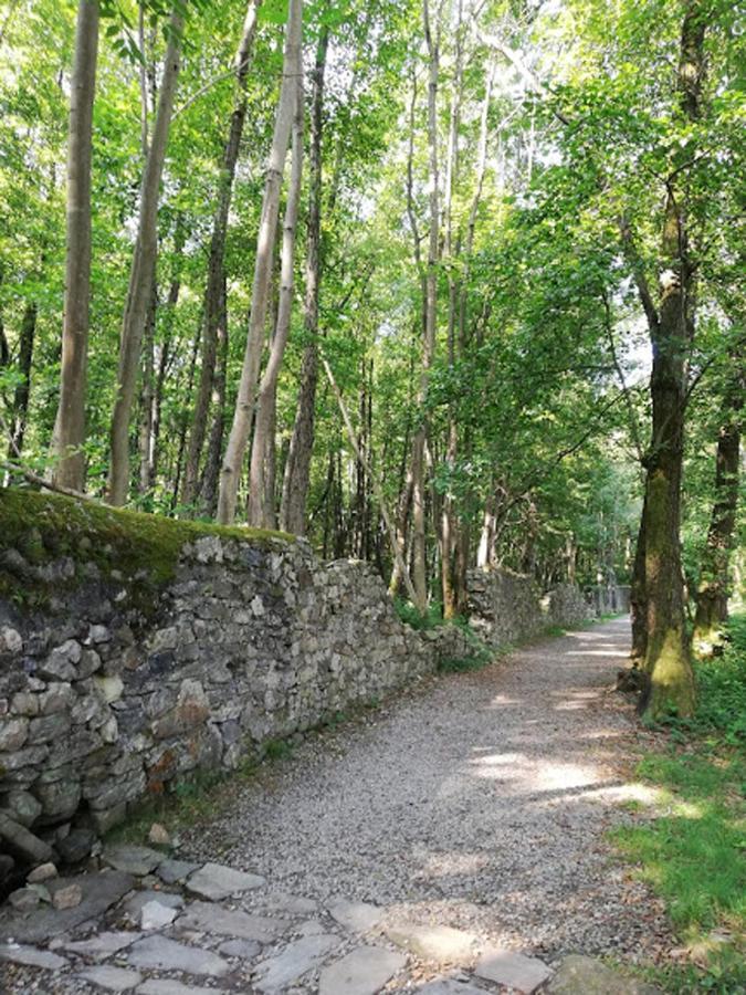 Villa La baia d'acquadolce Bolzano Novarese Esterno foto