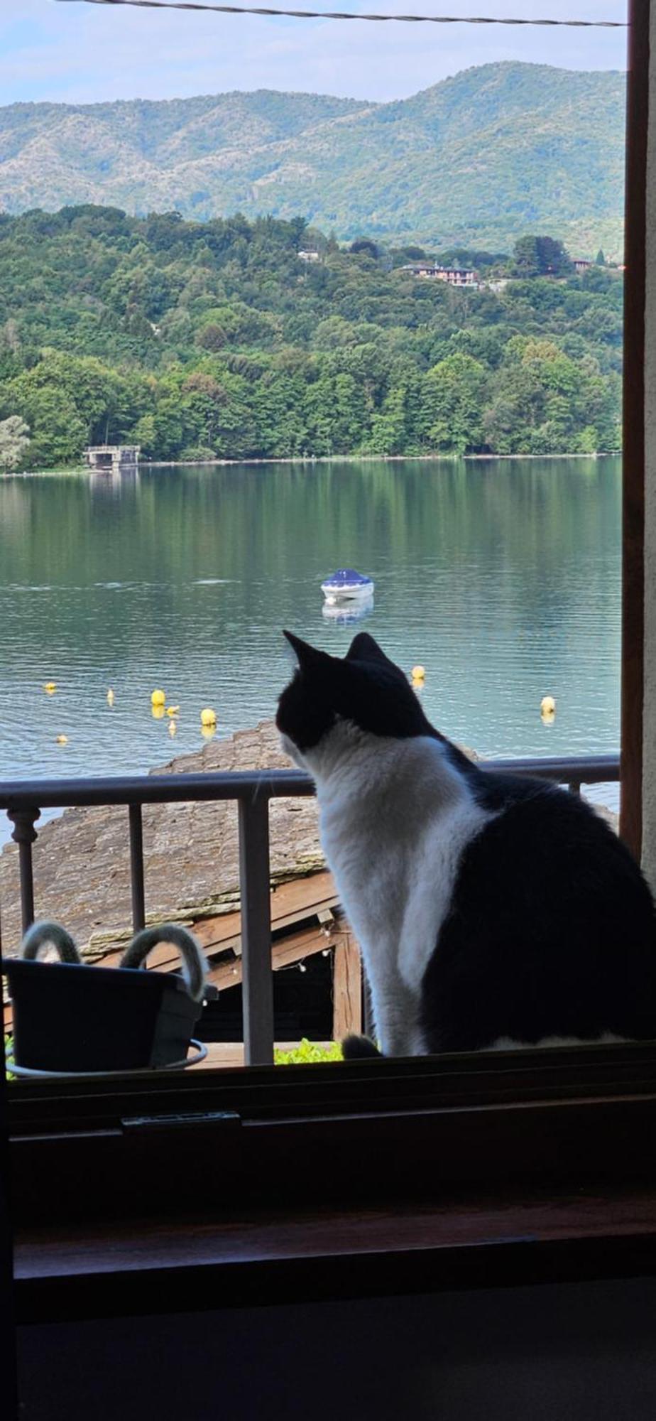 Villa La baia d'acquadolce Bolzano Novarese Esterno foto